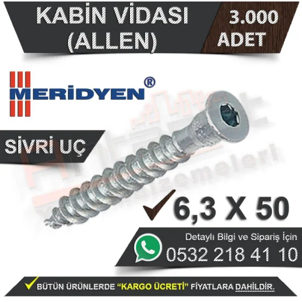 Meridyen Kabin Vidası 6.3X50 (Allen) Sivri Uç (3.000 Adet)