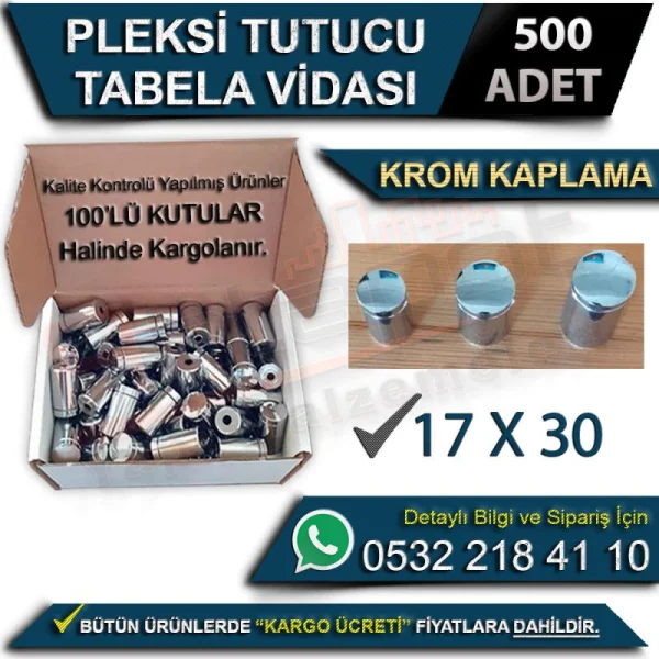 Pleksi Tutucu Tabela Vidası 17x30 (500 Adet)